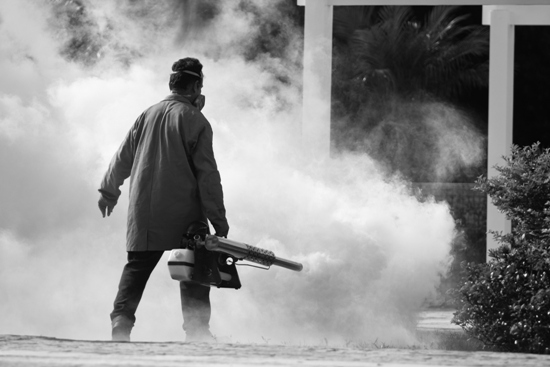 שירותי מדבירים