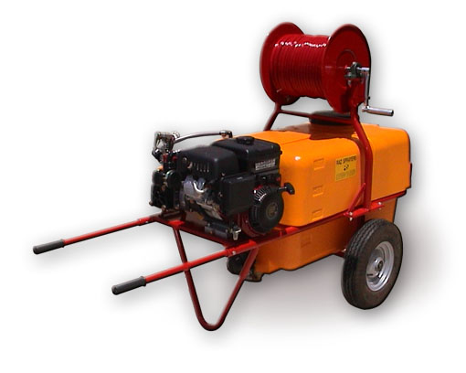 הדברת צרעות על ידי מדבירים מקצועיים