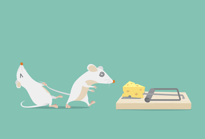 הדברת עכברים באופן עצמי הדברת עכברים באופן עצמי